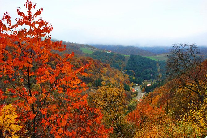 Group Tour: Lake Sevan (Sevanavank), Dilijan (Goshavank, Haghartsin) - Haghartsin Among the Tavush Woods