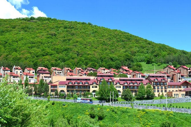 Private tour to Tsaghkadzor city (Ropeway), Lake Sevan, Sevanvank, Dilijan - The private vehicle and guide choice