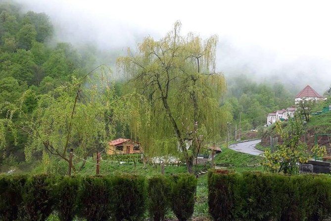Private Tour: Tsaghkadzor, Sevan lake,Sevanavank, Dilijan, Haghartsin monastery - Dilijan’s short forest-town visit