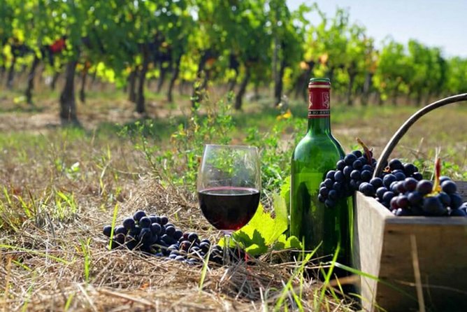Private wine tour to Khor Virap, Areni winery, Noravank - Why this route works so well in one day