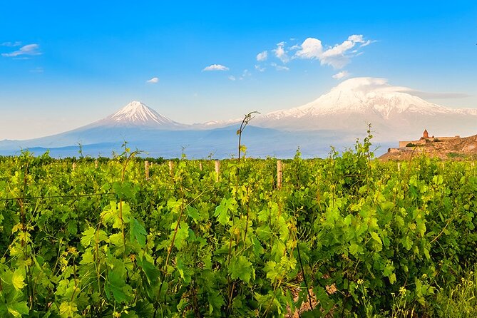 Tatev & Shaki Waterfall Guided Group Tour with Wine Tasting - Who should book this southern Armenia day trip?