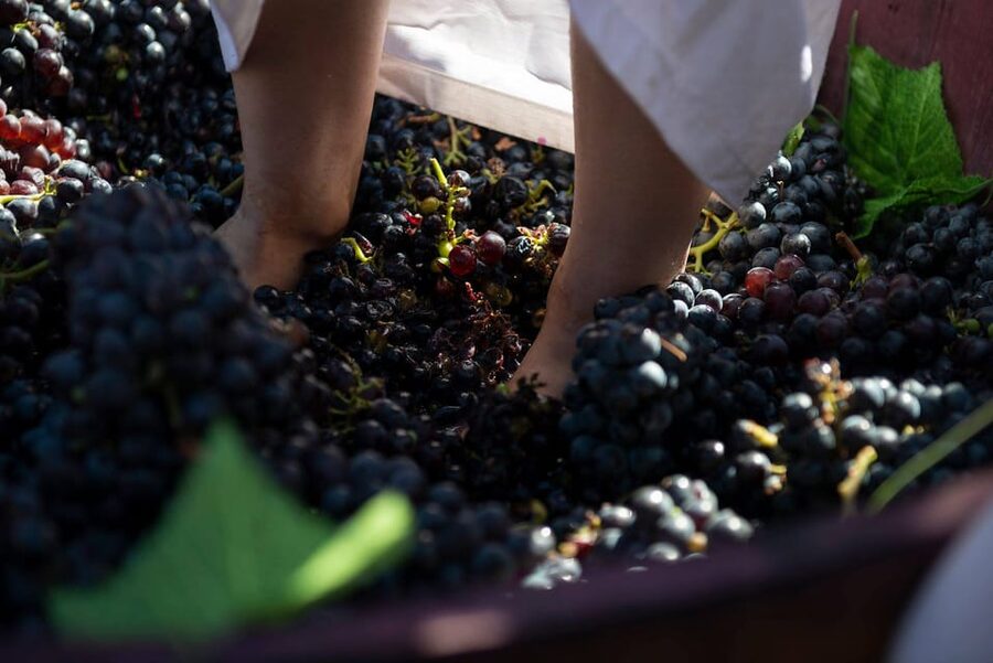 Yerevan: Khor Virap Day Trip with Mount Ararat Wine Tasting - Why this half-day pairing works so well