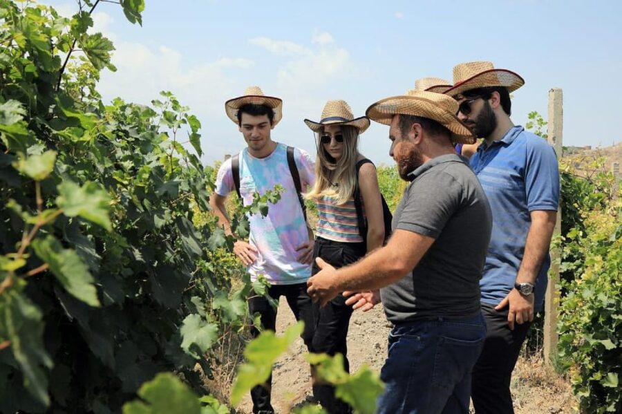 Yerevan: Khor Virap Day Trip with Mount Ararat Wine Tasting - What to check before you reserve