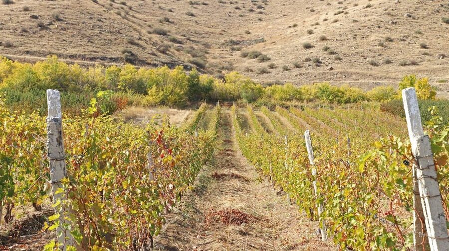 Yerevan: Khor Virap Day Trip with Mount Ararat Wine Tasting - Is Khor Virap and wine tasting worth $156?